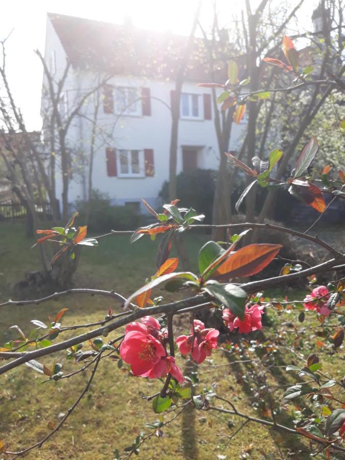 Zum Scheunenhof Ichenhausen Exterior foto